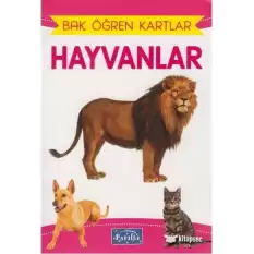 4E Bak Öğren Kartları Hayvanlar