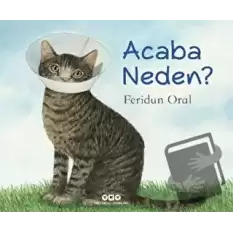 Acaba Neden?