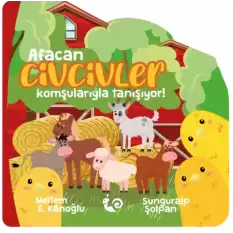 Afacan Civcivler Komşularıyla Tanışıyor!