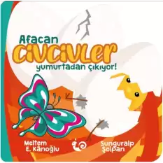 Afacan Civcivler Yumurtadan Çıkıyor!