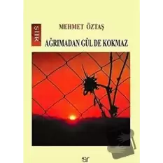 Ağrımadan Gül De Kokmaz