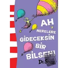 Ah Nerelere Gideceksin Bir Bilsen!