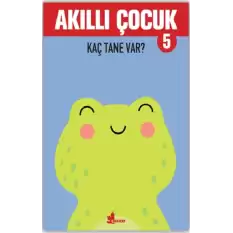 Akıllı Çocuk 5 – Kaç Tane Var?