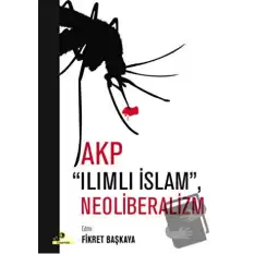 AKP Ilımlı İslam, Neoliberalizm