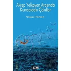 Akrep Yelkovan Arasında Kumsaldaki Çakıllar