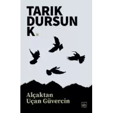 Alçaktan Uçan Güvercin