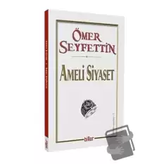 Ameli Siyaset