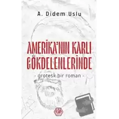 Amerikanın Karlı Gökdelenlerinde