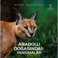 Anadolu Doğasından Yansımalar