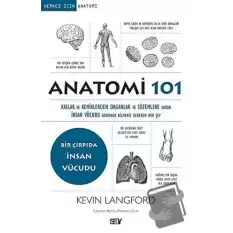 Anatomi 101