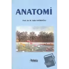 Anatomi