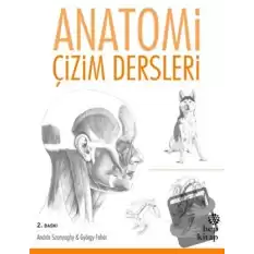 Anatomi Çizim Dersleri