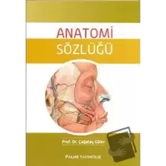 Anatomi Sözlüğü