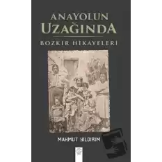 Anayolun Uzağında