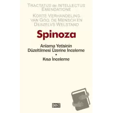 Anlama Yetisinin Düzeltilmesi Üzerine İnceleme