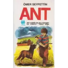 Ant