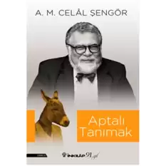 Aptalı Tanımak