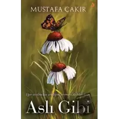 Aslı Gibi