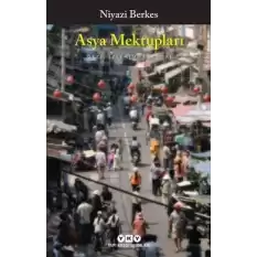 Asya Mektupları - Gezi, İzlenim, Eleştiri