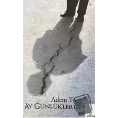 Ay Günlükleri