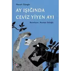 Ay Işığında Ceviz Yiyen Ayı