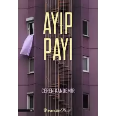 Ayıp Payı