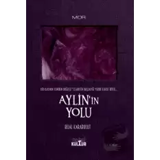 Aylin’in Yolu - Bir Kadının Yeniden Doğuşu