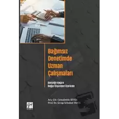 Bağımsız Denetimde Uzman Çalışmaları