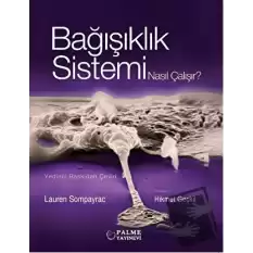 Bağışıklık Sistemi Nasıl Çalışır