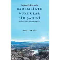 Bağkonak Köyünde Bademlikte Vurdular Bir Şahini