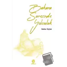 Bakara Suresinde Yolculuk