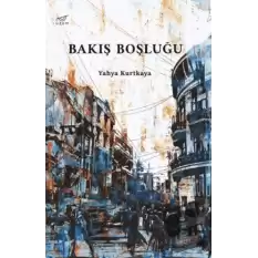 Bakış Boşluğu