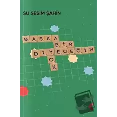 Başka Bir Diyeceğim Yok