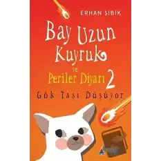 Bay Uzun Kuyruk ve Periler Diyarı 2 - Gök Taşı Düşüyor