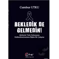 Bekledik De Gelmedin - Afetlerde Türk Ordusunun Kulllanılma(ma)sına İlişkin Bir Çalışma