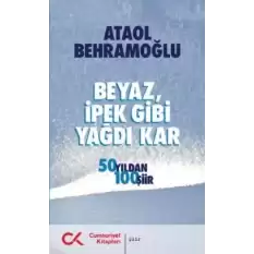 Beyaz İpek Gibi Yağdı Kar