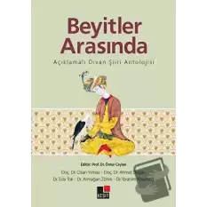 Beyitler Arasında Açıklamalı Divan Şiiri Antolojisi