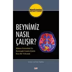 Beynimiz Nasıl Çalışır?