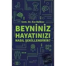 Beyniniz Hayatınızı Nasıl Şekillendirir?