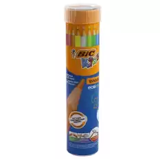 Bic Kuru Boya Evolution Metal Tüp 12+1 958191