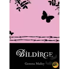 Bildirge