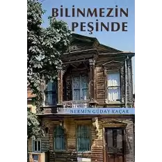 Bilinmezin Peşinde