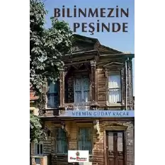 Bilinmezin Peşinde