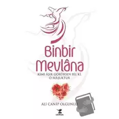 Binbir Mevlana