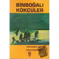 Binboğalı Kökçüler