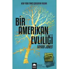 Bir Amerikan Evliliği