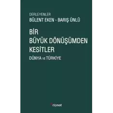 Bir Büyük Dönüşümden Kesitler