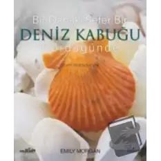 Bir Dahaki Sefer Bir Deniz Kabuğu Gördüğünde