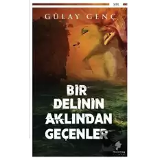 Bir Delinin Aklından Geçenler