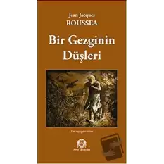 Bir Gezginin Düşleri